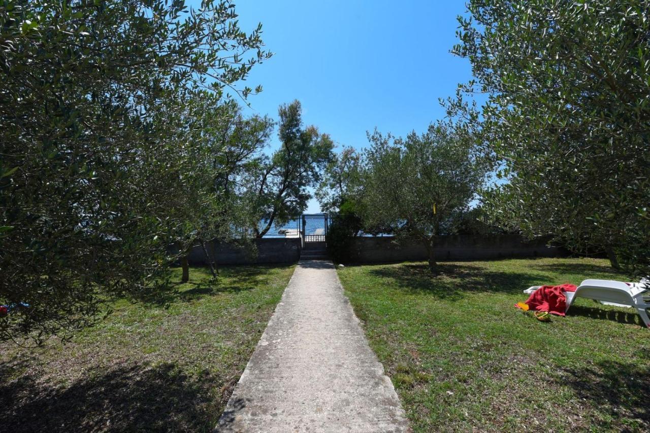 Apartments Bibinje By The Beach Exterior photo